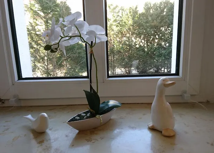 Apartmán Citywohnung Im Paulusviertel Ii Halle (Saale)